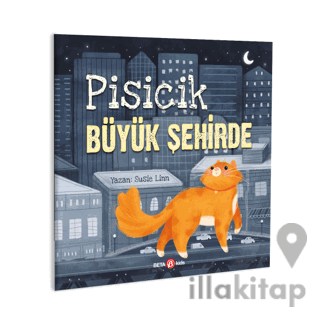 Pisicik Büyük Şehirde