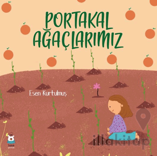 Portakal Ağaçlarımız