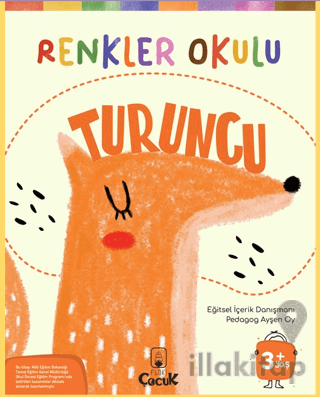 Renkler Okulu Turuncu