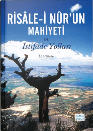 Risale-i Nur'un Mahiyeti ve İstifade Yolları