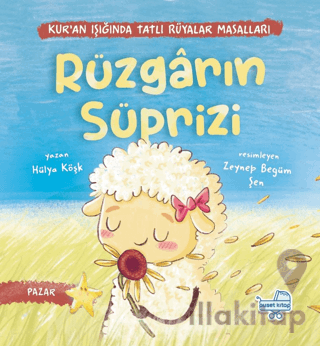 Rüzgarın Sürprizi