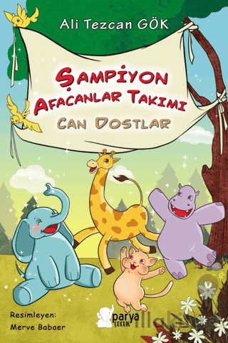 Şampiyon Afacanlar Takımı