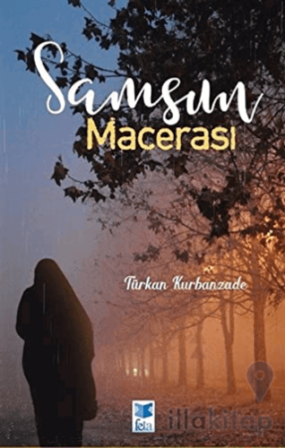 Samsun Macerası