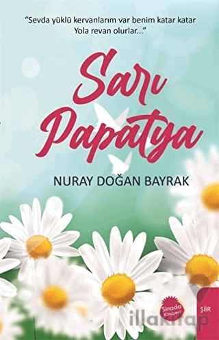 Sarı Papatya