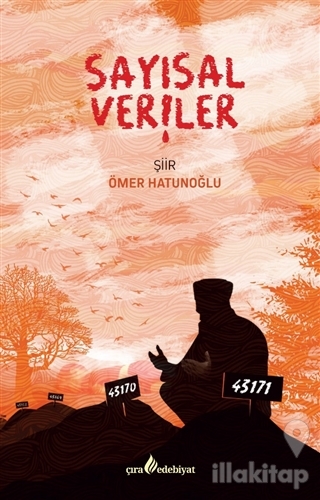 Sayısal Veriler