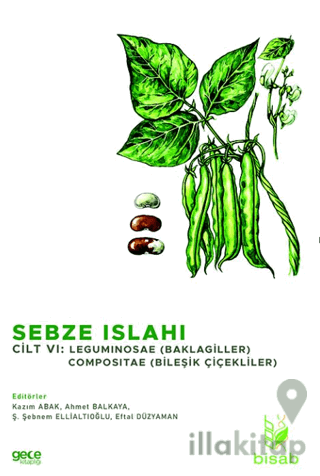 Sebze Islahı Cilt Vı