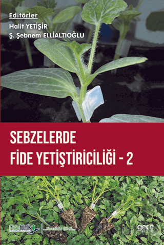 Sebzelerde Fide Yetiştiriciliği 2