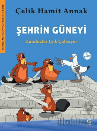 Şehrin Güneyi - Kunduzlar Çok Çalışıyor