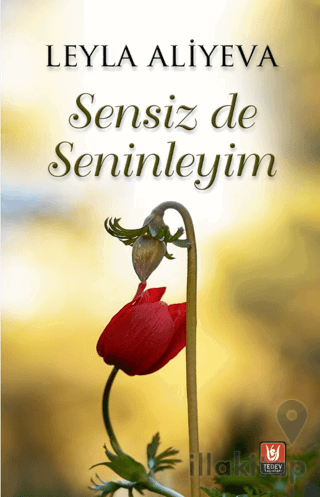 Sensiz de Seninleyim