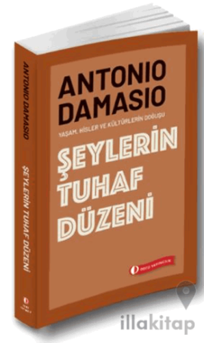 Şeylerin Tuhaf Düzeni