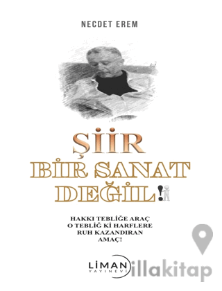 Şiir Bir Sanat Değil