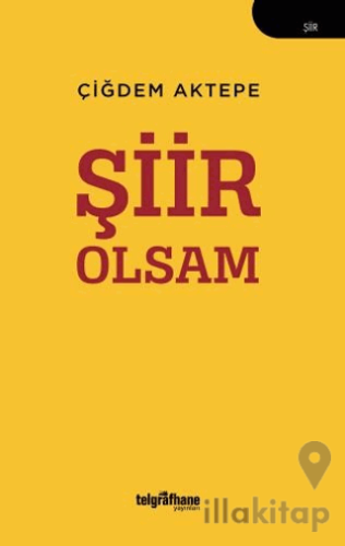 Şiir Olsam