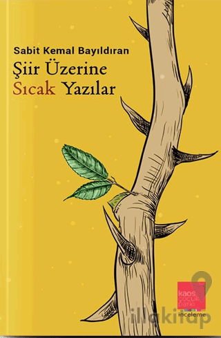 Şiir Üzerine Sıcak Yazılar