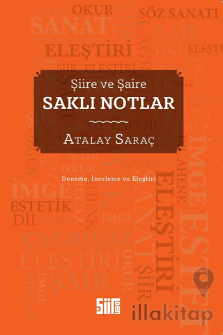 Şiire ve Şaire Saklı Notlar