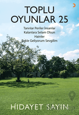 Toplu Oyunlar 25