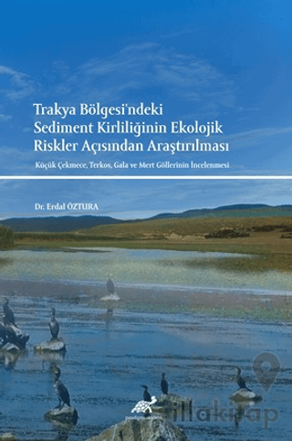 Trakya Bölgesi'ndeki Sediment Kirliliğinin Ekolojik Riskler Açısından 