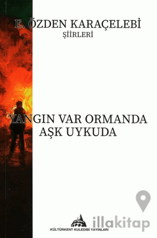 Yangın Var Ormanda Aşk Uykuda