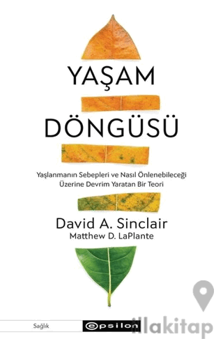 Yaşam Döngüsü