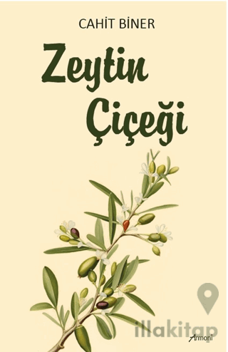 Zeytin Çiçeği