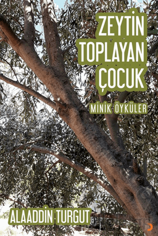 Zeytin Toplayan Çocuk